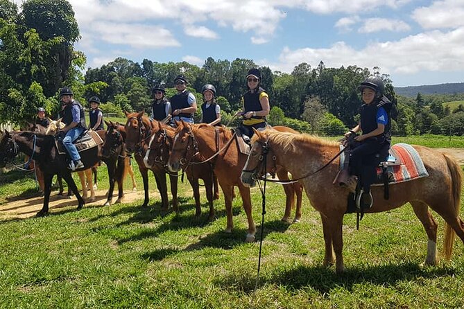 Horse and Quad bike tour with a visit to a Petting Zoo - The 30-minute horse ride on rolling farm hills