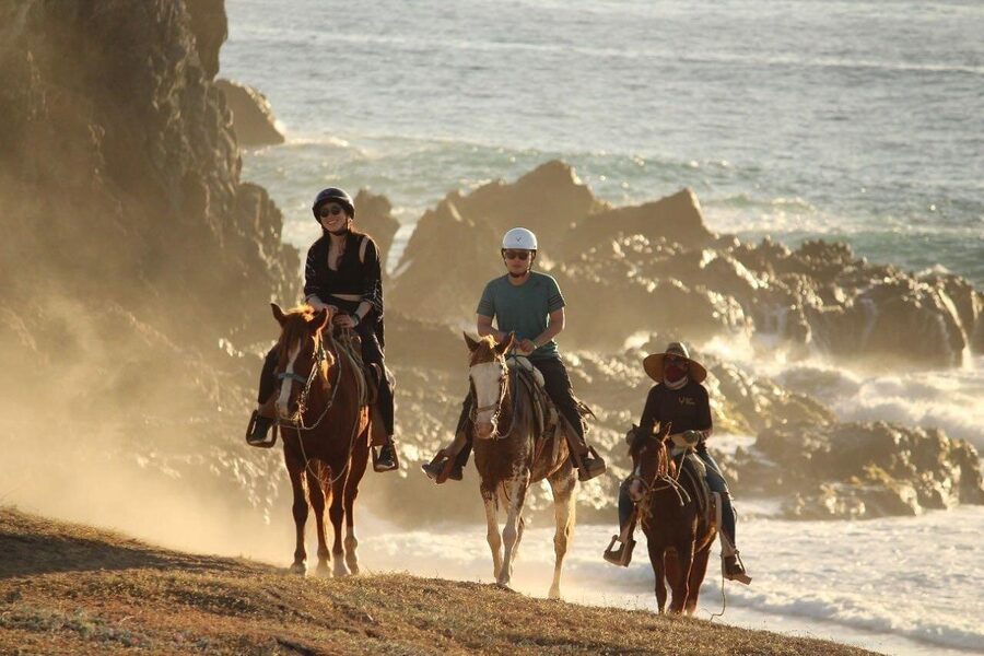 Horse Back Ridding Tour on the Pacific Ocean & Desert - Why beginners can feel comfortable