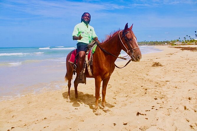 Horse Back Riding Adventure in Punta Cana - The $59 price and what it covers