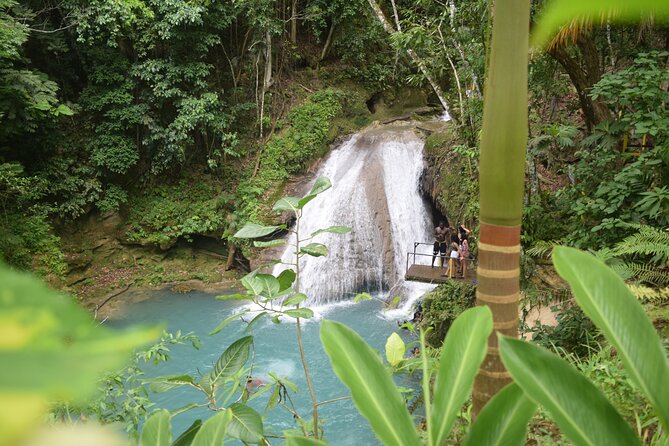 Horse Back Riding and Blue Hole From Montego Bay - Jamaican jerk at Scotchies Drax Hall