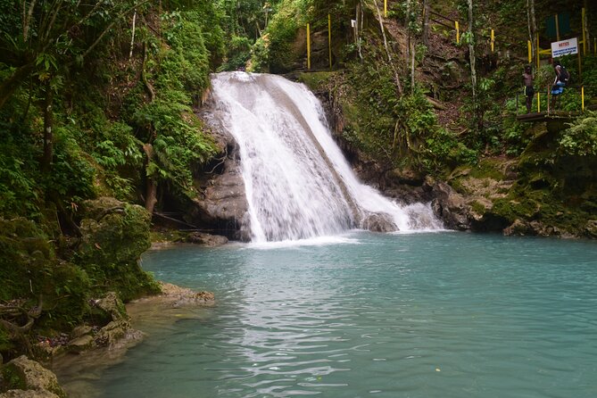 Horse Back Riding and Blue Hole From Montego Bay - Who will enjoy this most?