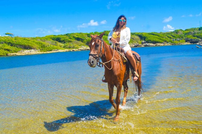 Horse back riding (Punta Cana/Bavaro) - Getting comfortable with the horses