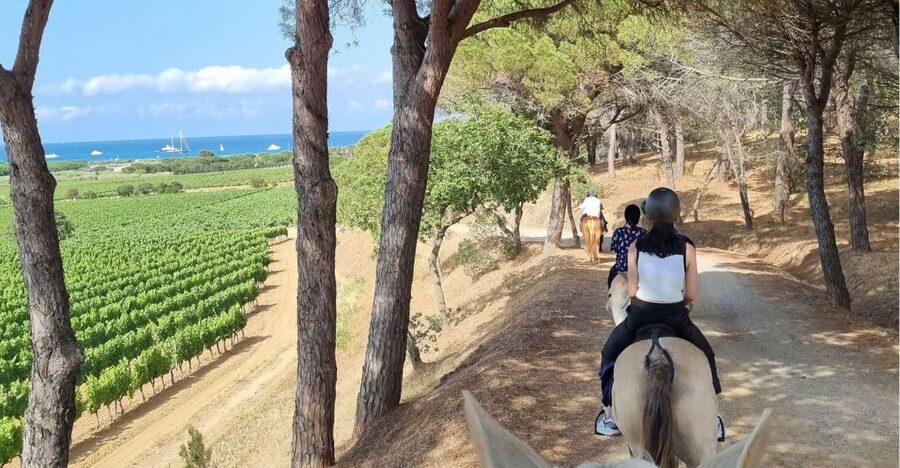 Horse back riding + wine tasting in Ramatuelle - Getting ready for the saddle