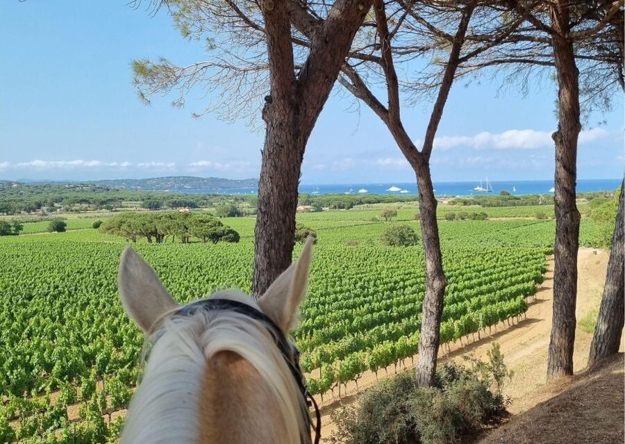 Horse back riding + wine tasting in Ramatuelle - Practical details that can make the ride better