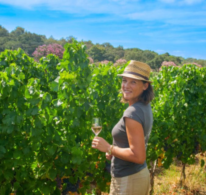Horse back riding + wine tasting in Ramatuelle - Starting at Domaine des Tournels