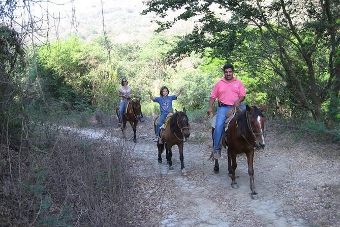 Horse Back Riding With Danitours Montain Rural Areas And Sand Beach - Key Points to Know Before You Ride