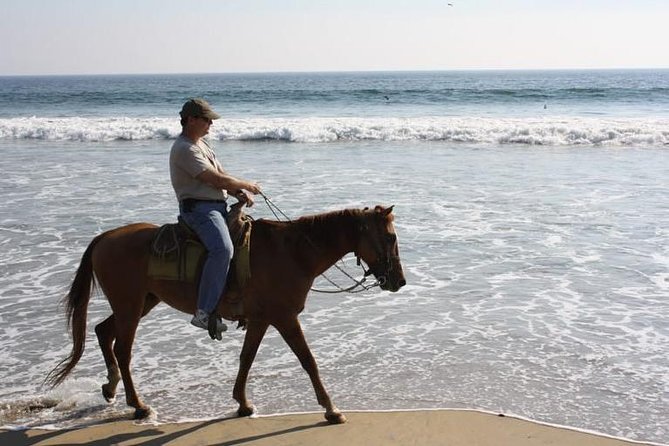 Horse Back Riding With Danitours Montain Rural Areas And Sand Beach - Riding From Manzanillo’s Port Toward the Rural Hills