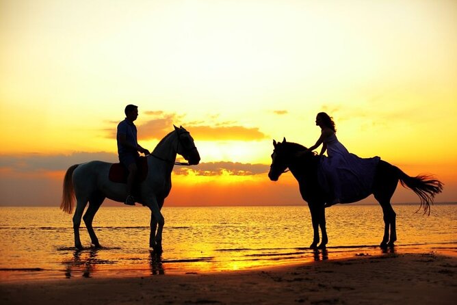 Horse & Camel Riding Experience in Hurghada - What the desert setting adds