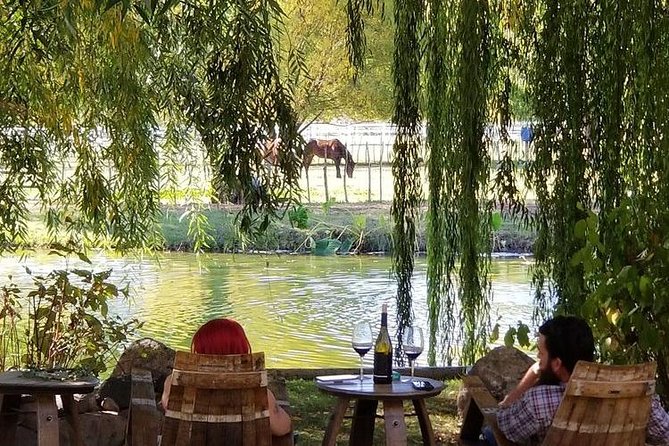 Horse Country Estate and Vineyard Wine Tasting Tour - A full day that trades city sights for private places