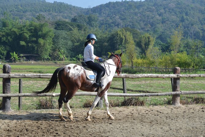 Horse Lesson+Riding+Wat Tonkwen wooden temple.Chiangmai - A Morning That Joins a Temple and a Horse Park