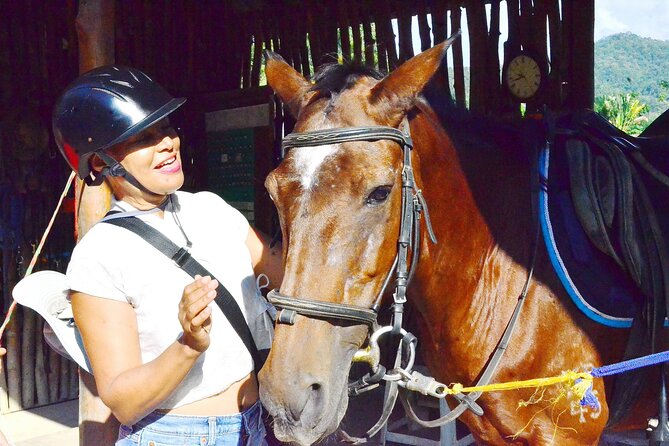 Horse Lesson+Riding+Wat Tonkwen wooden temple.Chiangmai - The Overall Experience and Its Limits