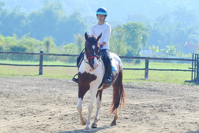 Horse Lesson+Riding+Wat Tonkwen wooden temple.Chiangmai - Should You Book the Wat Ton Kwen Horse Ride?