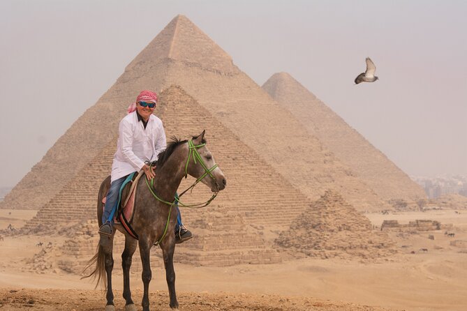 Horse or Camel Ride in Giza Pyramids - Horseback riding for beginners and experienced riders