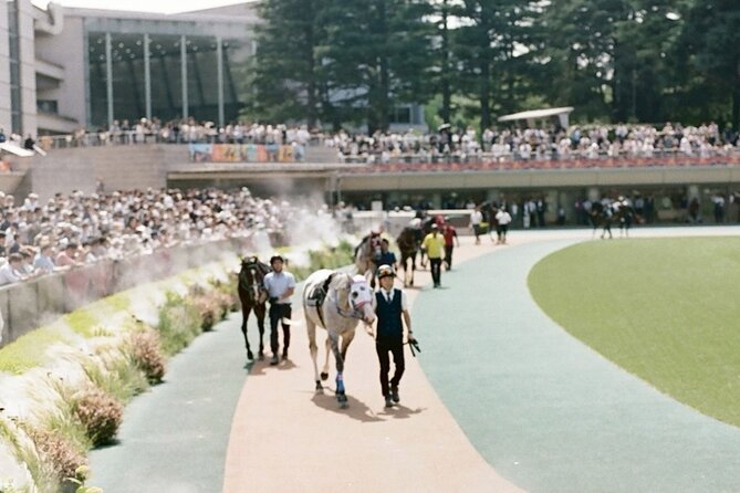 Horse Racing Tour with Local Fans in Tokyo Racecourse - The Paddock, the Horses, and the First Bets