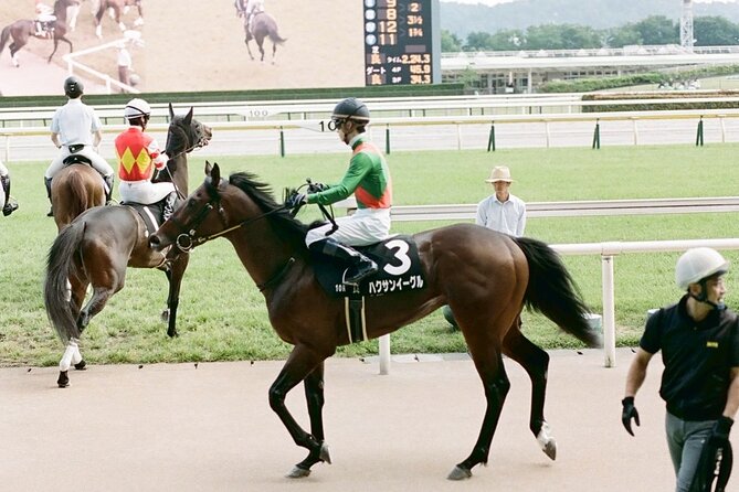 Horse Racing Tour with Local Fans in Tokyo Racecourse - Race Day With Local Fans