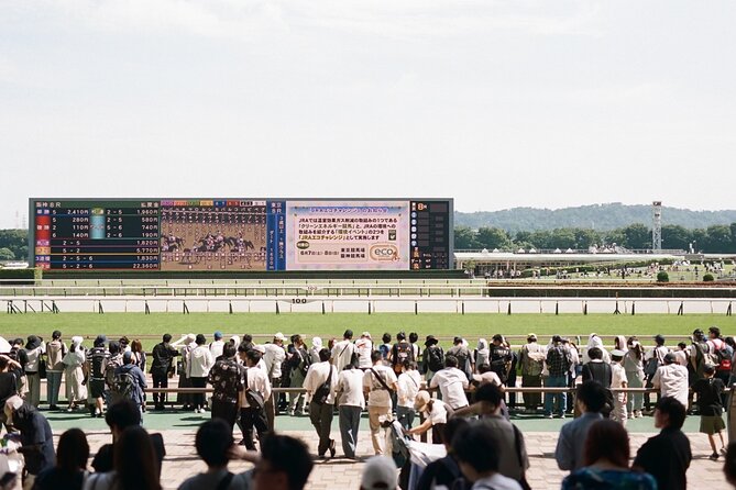Horse Racing Tour with Local Fans in Tokyo Racecourse - Meeting at SHIBU HACHI BOX in Shibuya