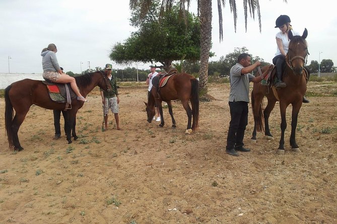 Horse Ride at the Marrakech Desert - Key points to know before you book