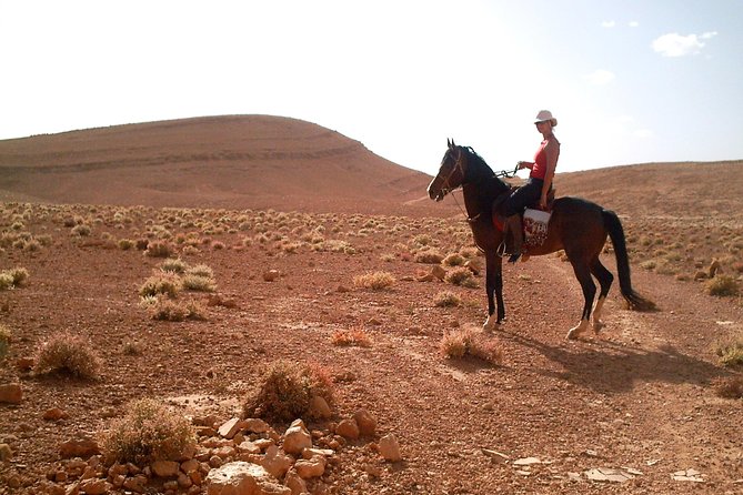 Horse Ride at the Marrakech Desert - The private format is the main advantage