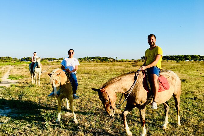 Horse ride in a Salento Nature Reserve with transfer from Lecce - From Lecce’s Porta Napoli to the Salento coast