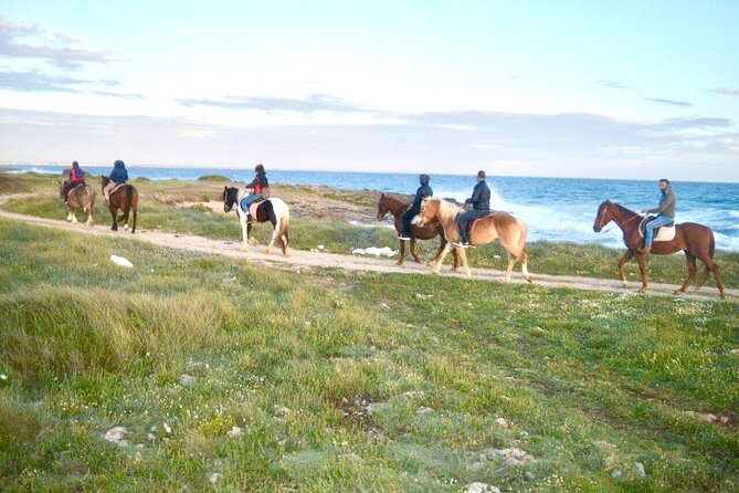Horse ride in a Salento Nature Reserve with transfer from Lecce - What the ranch portion is like