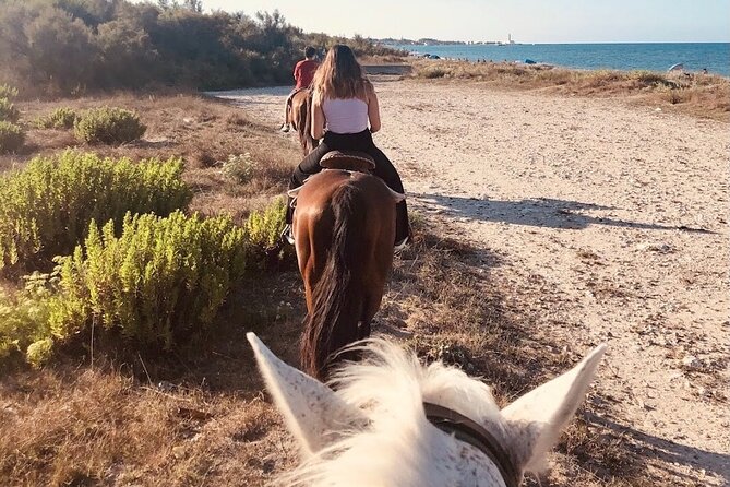 Horse ride in a Salento Nature Reserve with transfer from Lecce - Families and first-time riders