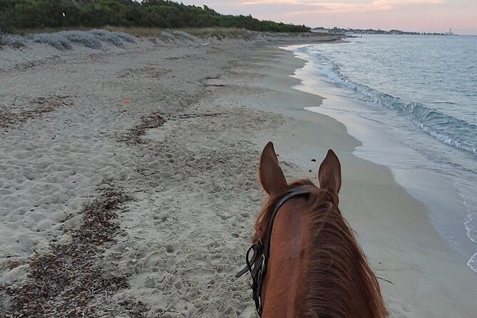 Horse ride in a Salento Nature Reserve with transfer from Lecce - Timing, group size, and practical planning