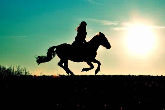 Horse Ride in Agadir & Options at Sunset & Barbecue with Couscous - Riding through dunes, eucalyptus, and the river area