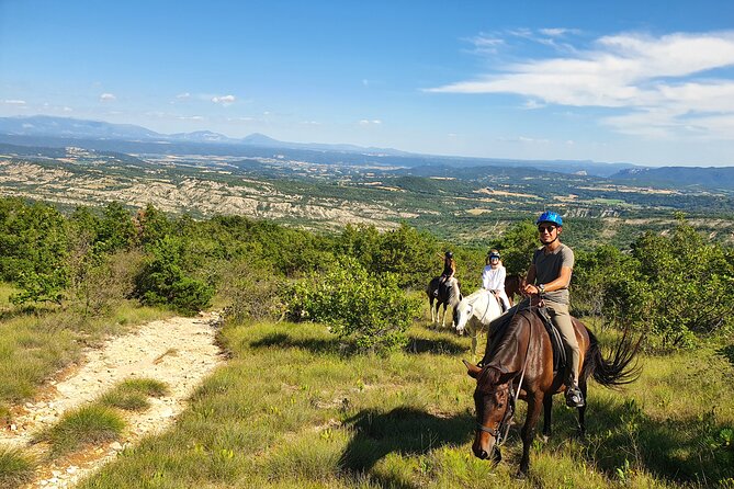 Horse ride in Haute Provence Luberon and Forcalquier - Meeting the horses at Centre Equestre Janssaud