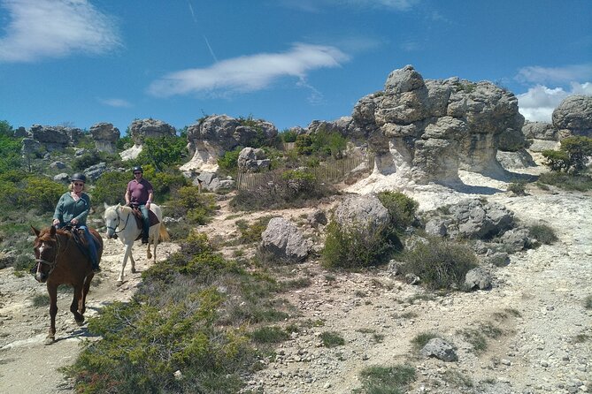 Horse ride in Haute Provence Luberon and Forcalquier - A calm start for beginners