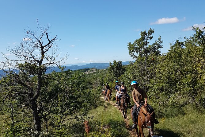 Horse ride in Haute Provence Luberon and Forcalquier - The horses are part of the experience