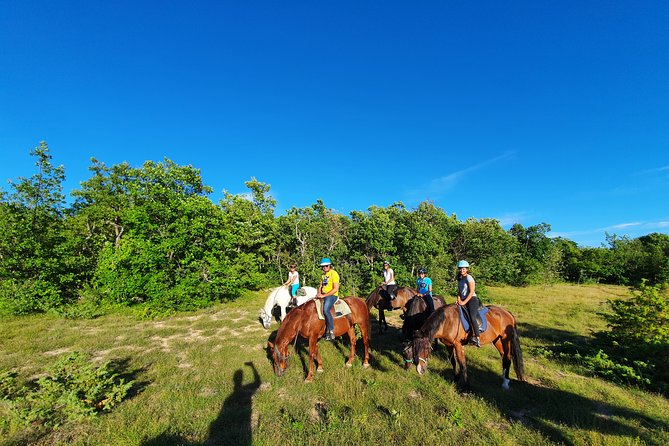 Horse ride in Haute Provence Luberon and Forcalquier - Is $80.46 a fair price?