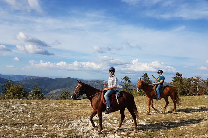 Horse ride in Haute Provence Luberon and Forcalquier - Who will enjoy this most