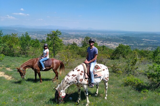 Horse ride in Haute Provence Luberon and Forcalquier - Riding above Forcalquier and through the Luberon