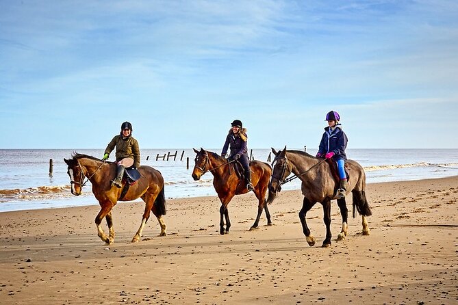 Horse Ride in Taghazout or Agadir - Riding beside Taghazout Beach