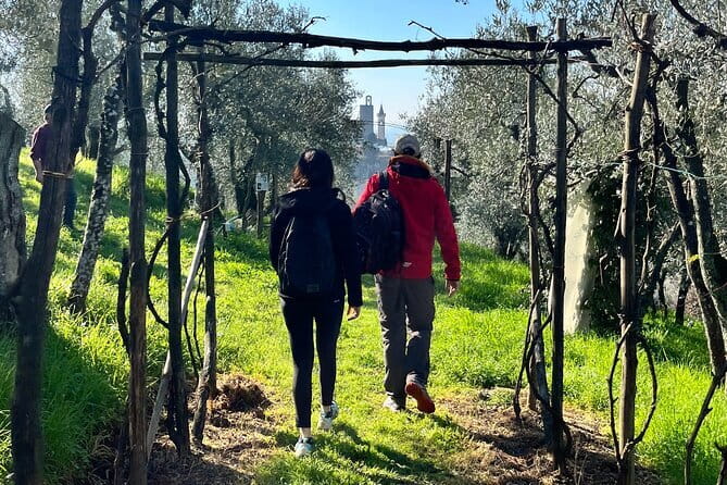 Horse ride in the Mugello (transfer from / to Florence) and Tuscan aperitif - Heat, weather, and the best time to ride