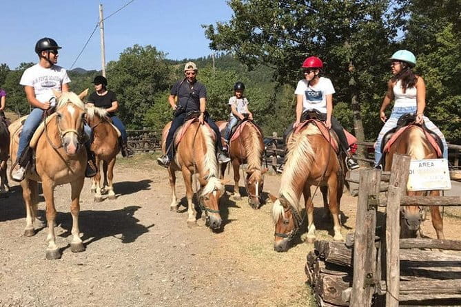 Horse ride in the Mugello (transfer from / to Florence) and Tuscan aperitif - The Mugello countryside, from sunflowers to stone farms