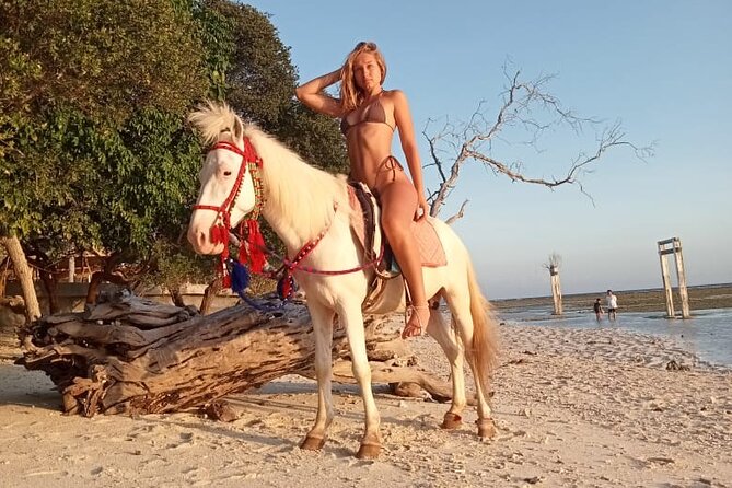 Horse Ride On The Beach Gili Islands - Key points to know before booking