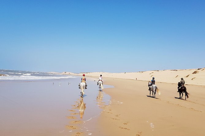 Horse Ride on the Beach in Essaouira - A useful lesson for first-time riders