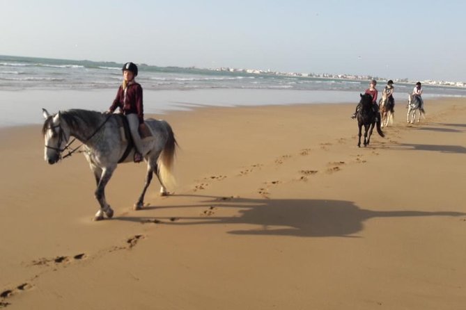 Horse Ride on the Beach in Essaouira - Sunset timing and the feel of the ride