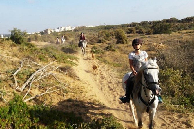 Horse Ride on the Beach in Essaouira - The forest route and its farm animals