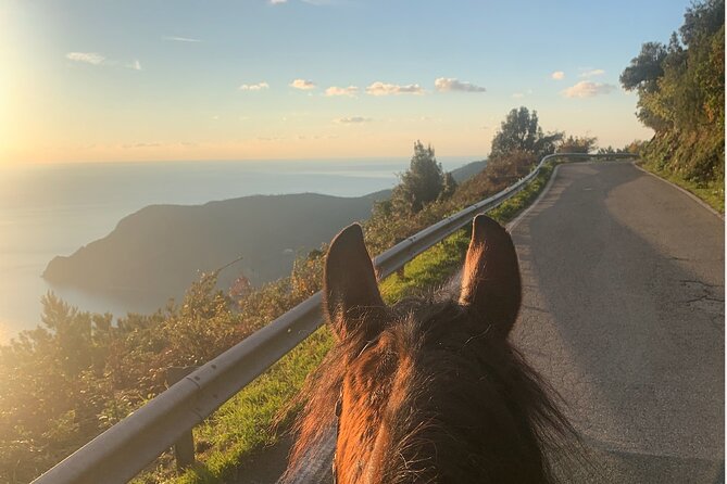 Horse ride on the coast of Monterosso al Mare Cinque Terre - Key points to know before booking