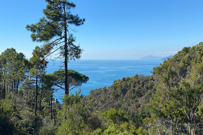 Horse ride on the coast of Monterosso al Mare Cinque Terre - Getting to the ranch from Monterosso