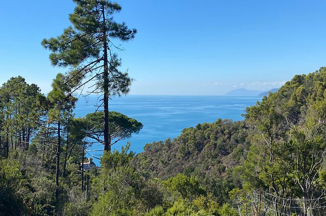 Horse ride on the coast of Monterosso al Mare Cinque Terre - Who will enjoy this ride most