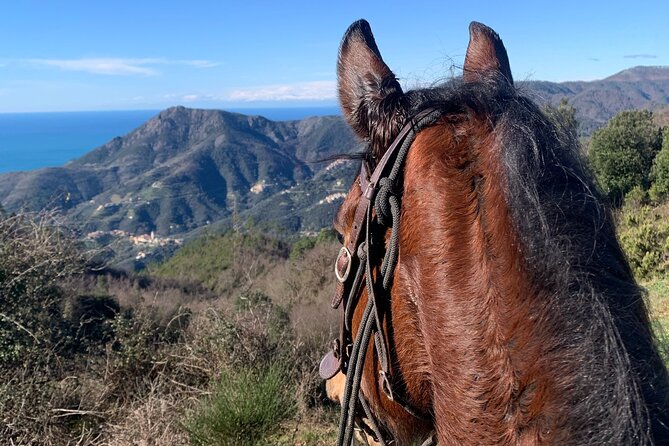 Horse ride on the coast of Monterosso al Mare Cinque Terre - Through the woods and mountain paths