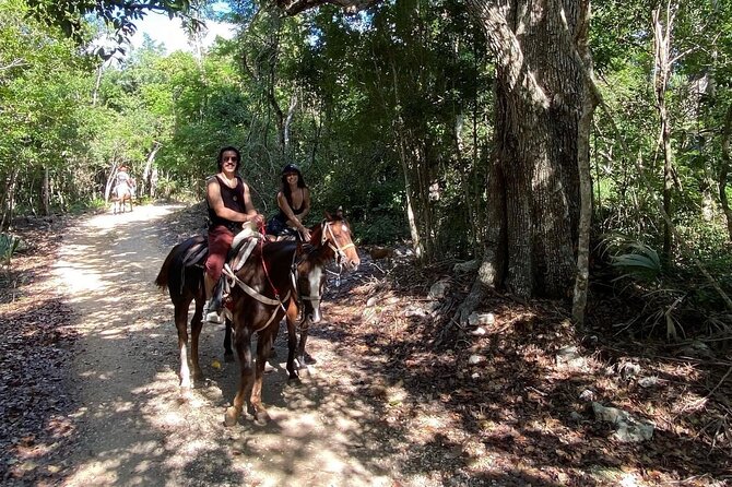 Horse Ride to Cenote Mil Columnas - What the $104.73 price means