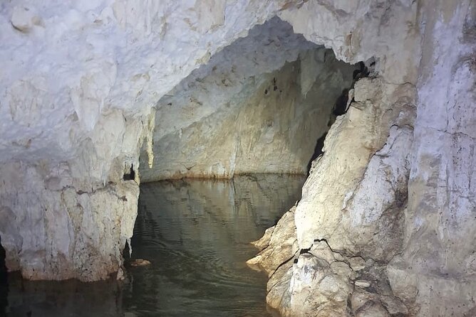 Horse Ride to Cenote Mil Columnas - Who will enjoy this ride most