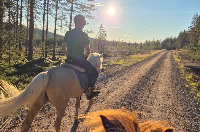 Horse Ride to the Hill Activity - How much value you get for $138.34