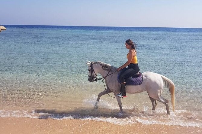 Horse Ride Trip , Bedouin Dinner And Show - Sharm El Sheikh - Two hours on horseback in the Sharm desert