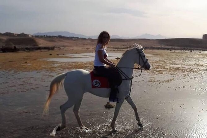 Horse Ride Trip , Bedouin Dinner And Show - Sharm El Sheikh - Hotel pickup and the 3:00 pm start