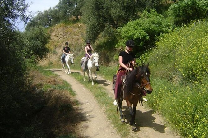 HORSE RIDING 1.5 hours mountains from area Hersonissos CRETE - What happens at the small riding school